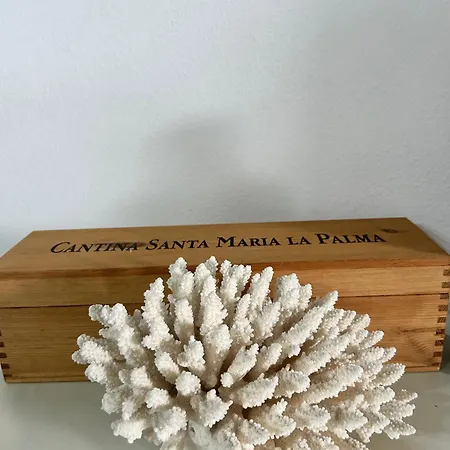 Apartment Casa Mattea